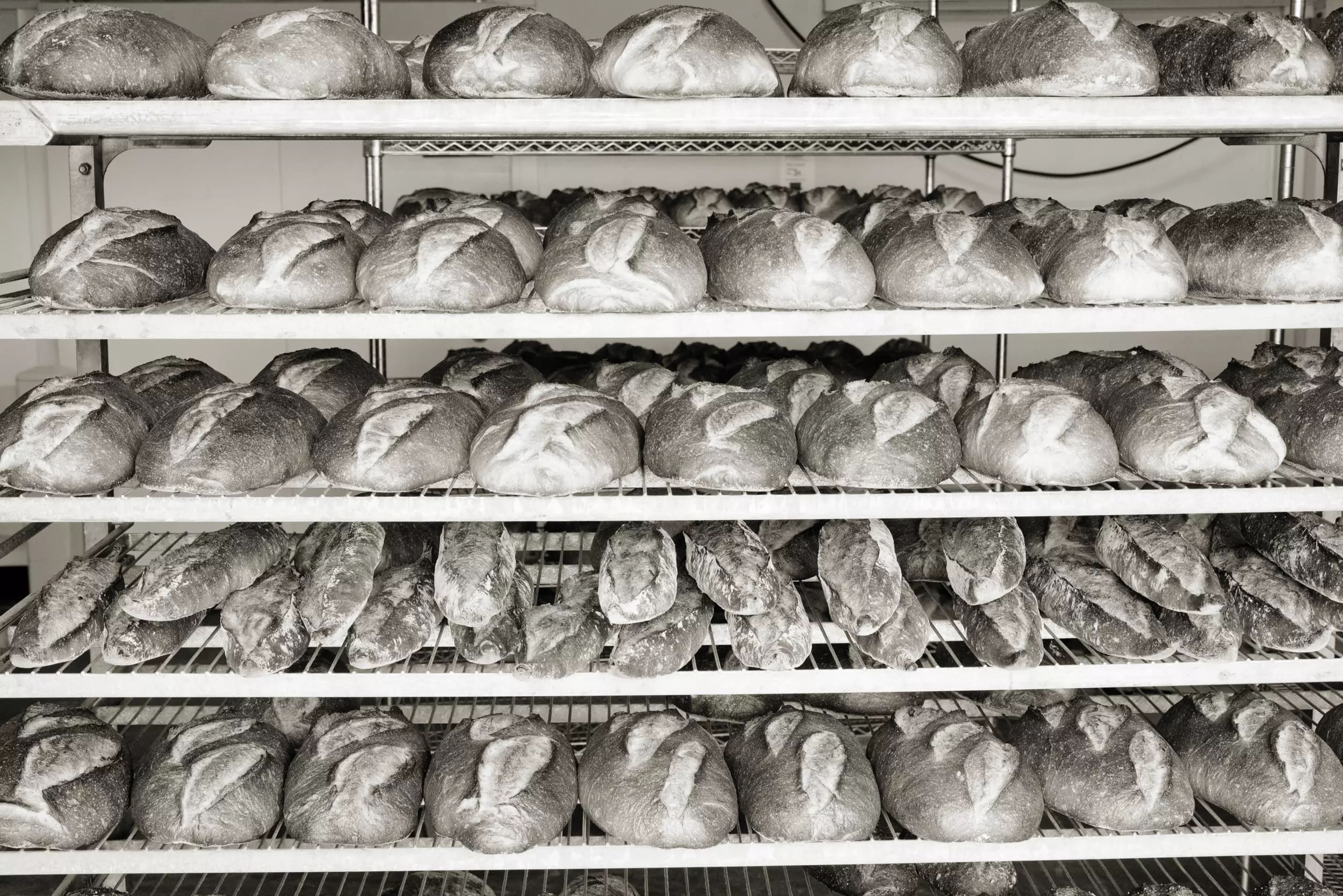 Loaves of baked bread in a cooling rack