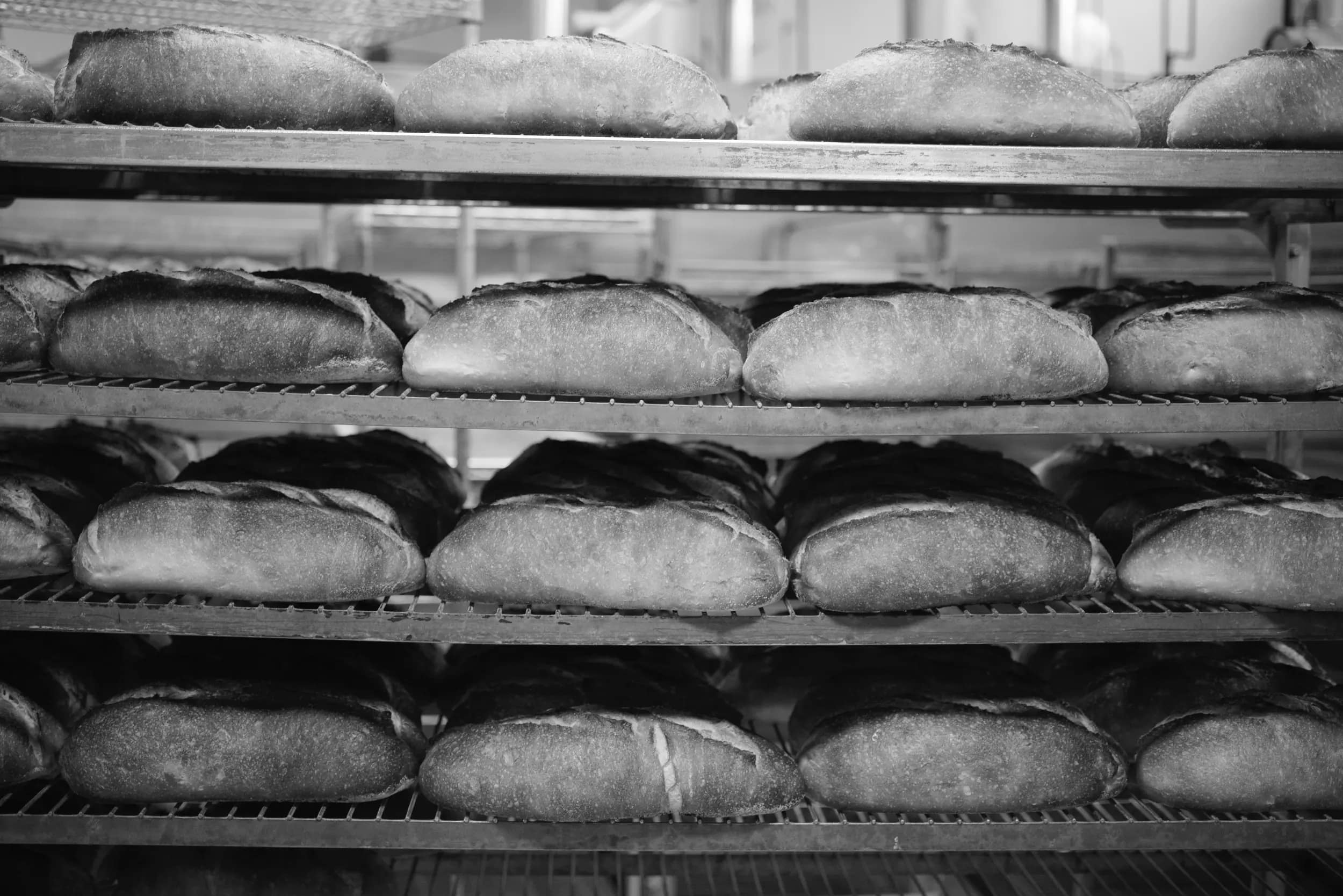 Bread rack full of cooling loaves