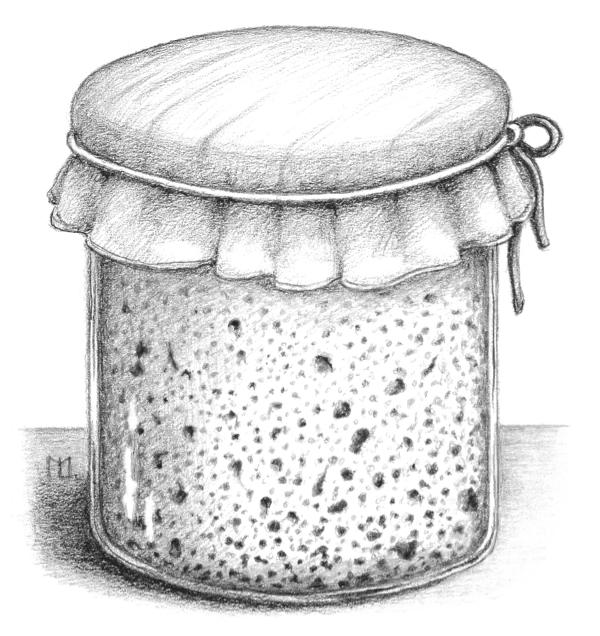Jar with Sourdough Starter Illustration